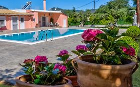 Villazia Exclusive Estate